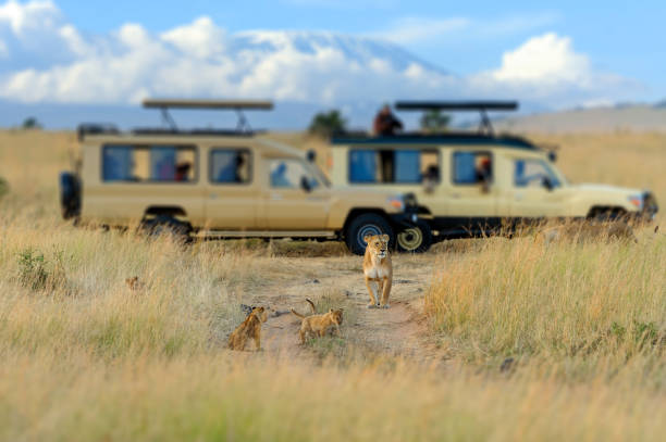 3 Days: Maasai Mara Group Joining