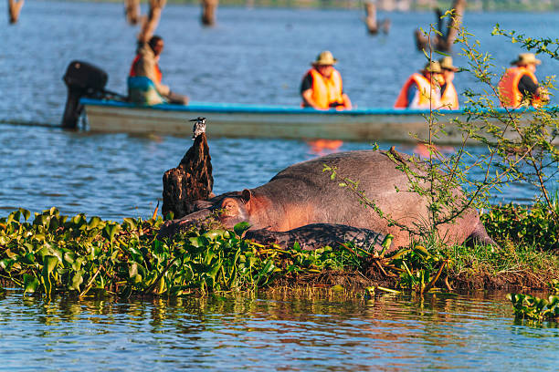 5 Day Nakuru Naivasha & Masai Mara Lodge Joining Safari